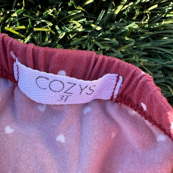 Cozys Girls Heart Pajama Set Size 3T - Picture 4 of 4